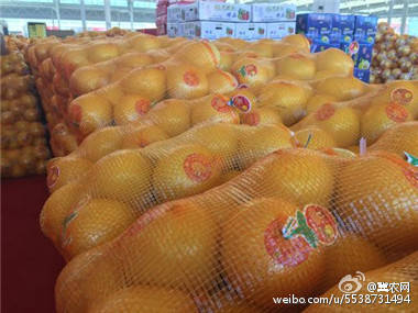 【保定9個貧困縣對接新發地把農副產品賣到 來自冀農網 - 微博